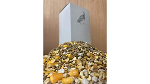 Wild Turkey Scratch Feed Supplement - All Natural Vitamin Fortified w/Oyster Shell Calcium - Game Bird Attractant - size: 3 Pound (Pack of 1)