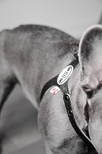 BUDDY BELT Harness Pebble Grain Black - Premium Edition (4) - size: 4