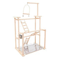 Premium Parrot Play Stand - Large Bird Gym Activity Center for Macaws, Cockatoos, African Greys, Indoor Outdoor Playground