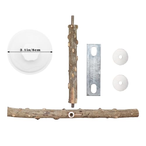 Bird Window Perch Stand with Suction Cup, Outdoor Travel Window Mirror Bird Stand Toy, Suitbale for Small and Medium Bird Parrot Parakeet Cockatiel