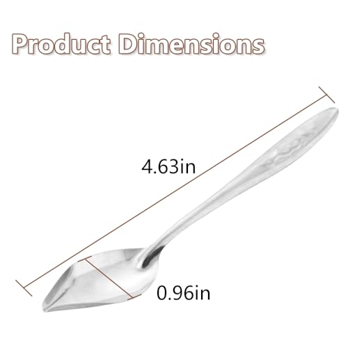 6 Pcs Bird Parrot Feeder Spoon Stainless Steel Hand Feeding Scoops for Small Birds