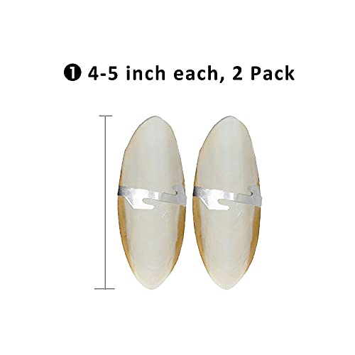 Natural Cuttlebone for Birds Parakeets Canaries Cockatiels Small Conures Mynahs Toucans African Greys All Parrots Snails Totoise, with Holder for Bird Cage (4-5 inch,2PCS) - size: 4-5 Inch (Pack of 2)