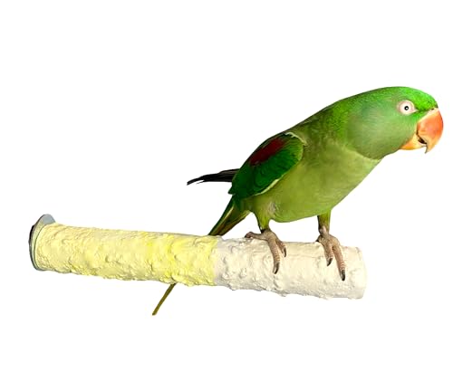 Polly's Edible Cuttlebone Calcium Bird Cage Perch for Budgies, Parakeets, Amazons, Blue & Golds, Macaws and Cockatoos.… (Pineapple, Large) - color: Pineapple, size: Large