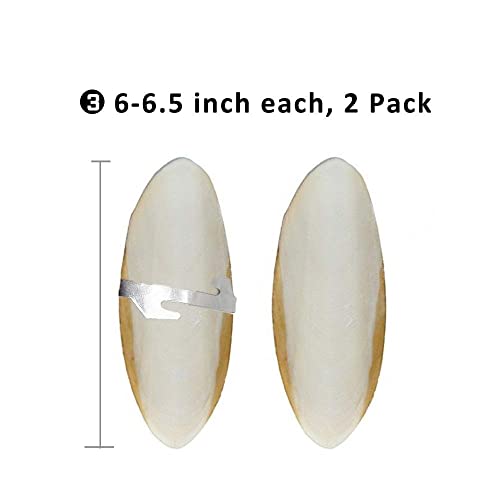 Natural Cuttlebone for Birds Parakeets Canaries Cockatiels Small Conures Mynahs Toucans African Greys All Parrots Snails Totoise, with Holder for Bird Cage (6-6.5 inch,2PCS) - size: 6-6.5 Inch (Pack of 2)