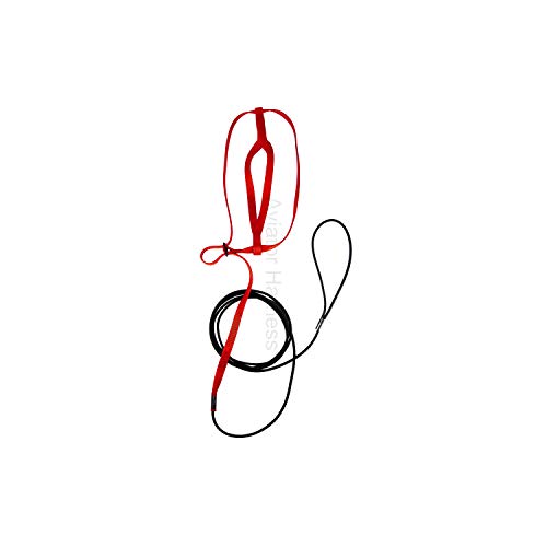 Aviator Bird Harness - color: red, size: L