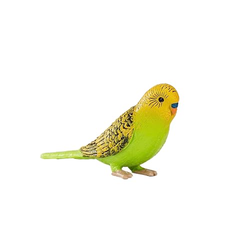 MOJO – Budgerigar (Australian Parakeet) Green | Hand-Painted Toy Figure | Farmland Pet Bird Collection | True to Life & Highly Detailed | Designed in UK