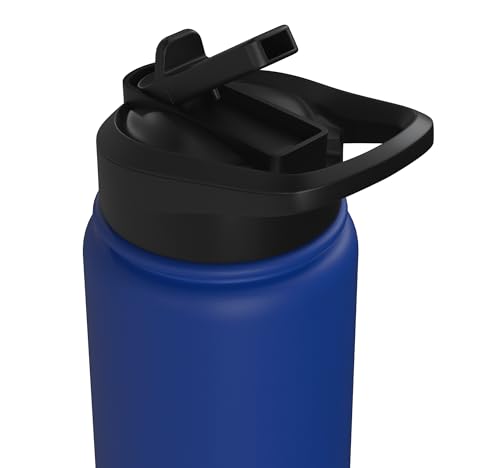 Bird Definition - Funny Sarcastic Bird Explanation Stainless Steel Insulated Water Bottle - color: Royal Blue