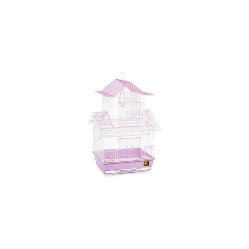 Bird Cage Spacious & Durable - Natural Wood Accents - Comfortable Habitat for Parakeets & Canaries