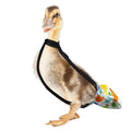 Duckling Diapers for Pet Ducks - 1 to 2 lbs, 3 Weeks to 4 Weeks of Age - Baby Duck & Gosling Diapers