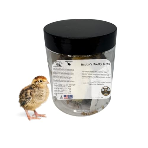 Undique Whole Quail for Carnivore Pets - Natural Prey Feeding - Quality Protein Source Medium Size Chicks 5 Count