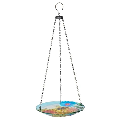 Alpine Corporation KBD126 Outdoor Hanging Glass Bird Feeder and Birdbath, Floral and Bee Bowl Design with Chain, 10" W - style: Floral and Bee