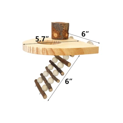 Climbing Toys for Hamster and Small Parrot, Natural Apple Wood Playing Toys | Cage Accessories for Guinea Pig, Gerbils, Chinchillas, Rats, Parakeets, Conures, Syrian, Bird, Mice