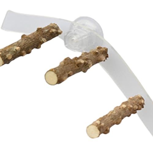 Suction Cup Wood Bird Perch for Windows and Showers, 3.94 x 14.96 in Parrot Stand for Small and Medium Birds