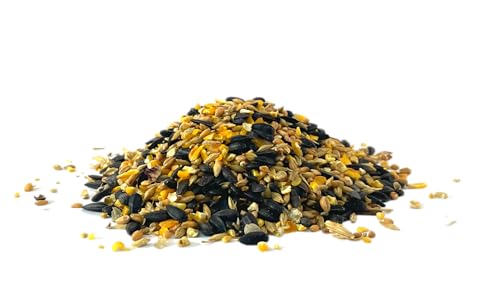 Ernst Grain & Livestock's Bird and Wildlife Feed – Perfect for Birds, Ducks, Squirrels, Turkeys, Rabbits, Geese, and Deer – Non-GMO Wild Animal & Bird Feed for Outside Feeders (46 Pound) - size: 46 Pound (Pack of 1)
