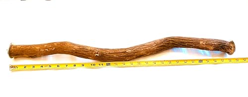 Polly's Full Length Hardwood Cage Perch for Parakeets, Cockatiels, Cockatoos, Macaws, and Other Birds (28") - size: 28"