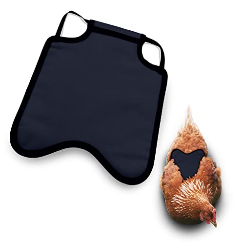 Hen Apron/Saddle, Single Strap, Small/Medium, Navy - color: Navy, size: Medium