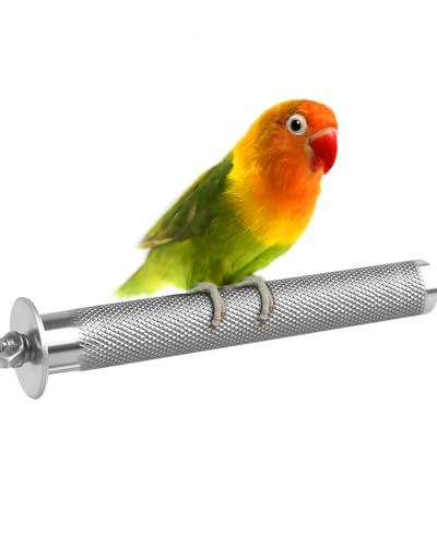 KATUMO Conure Perch - Stainless Steel Bird Stand Rough-surfaced Branch for Small Birds (6 x 0.7 inch) - size: S: 6 x 0.7 inch