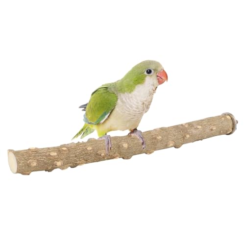 Hypeety Natural Prickly Ash Wood Bird Perch Stand Paw Grinding Perch Toy | Natural prickly ash wood, bark texture for grip, chew-proof and durable, for budgie/parakeet/cockatiel/lovebird, 11.79''/30cm - size: 11.79 inch
