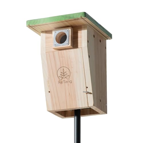 Cedar Bird House with Metal Predator Guard, Wild Bird Nesting Box | Clear viewing window, easy-clean side door, 3/4" cedar, and interior grip for wild wrens, swallows, and chickadees - style: Classic
