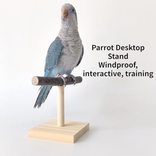 Bird Perch Stand, Bird Training Portable Tabletop Platform, Parrot Cage Toy Gym Accessories for Parakeets Cockatiels, Conures, Macaws, Finches Lovebirds