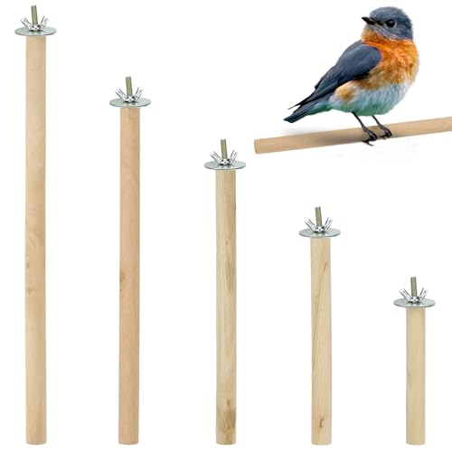 5Pcs Wood Bird Perch Stand Set – 10-30 cm Parrot Cage Stick Natural Branch for Cockatiels Parakeet, Climbing Rod Paw Grinding Toy
