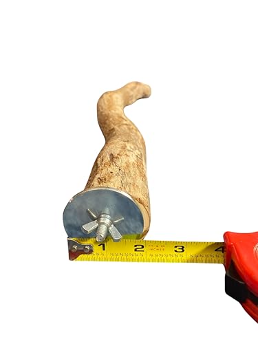 Polly's Full Length Hardwood Bird Perch, 20-Inch (Pack of 2) - size: 20" (Pack of 2)