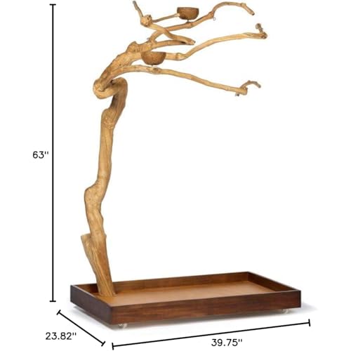 HomeStock Asian Fusion CoffeeWood Tree-Style Parrot Play Stand with Natural Design, Durable Perches, Feeding Bowls, and Spacious Activity Area for Birds Medium - size: Medium