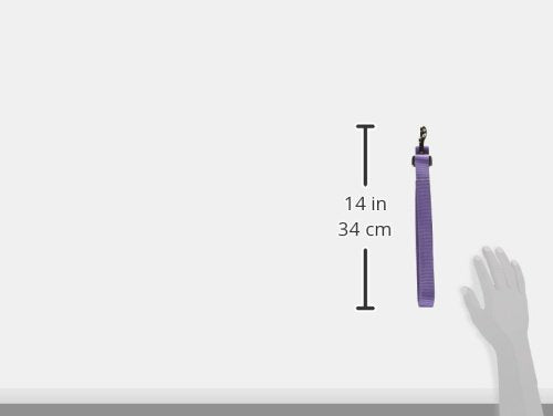 Zack & Zoey Basic Nylon Dog Leash, 6-Feet x 1-Inch Lead, Ultra Violet - color: Ultra Violet, size: 6-Feet x 1-Inch Lead
