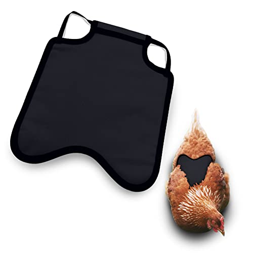 Hen Apron/Saddle, Single Strap, X-Large, Black - color: Black, size: X-Large