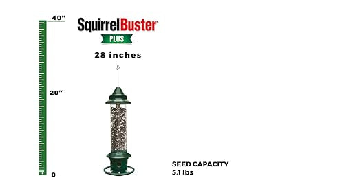 Squirrel Buster Plus Squirrel-proof Bird Feeder w/Cardinal Ring and 6 Feeding Ports, 5.1-pound Seed Capacity, Adjustable, Pole-mountable (POLE ADAPTOR SOLD SEPARATELY), Green | Cardinal ring, six ports, weight adjustment, pole-mountable, adapter sold sepa