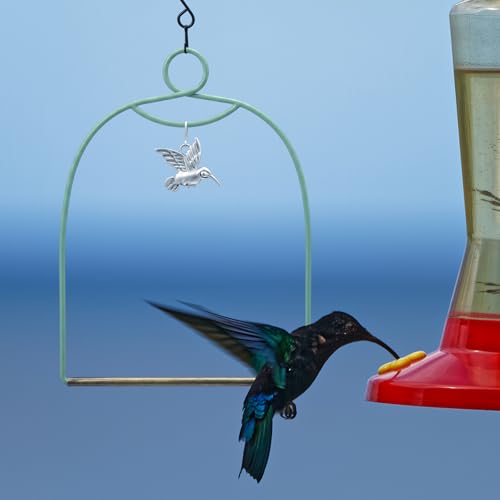 LemonRoad 2 Pcs Hummingbird Swing, Metal Frames Birdie Swing with Hummingbird Hanging Decor Hummingbirds Perch with Iron S Hooks for Hanging Indoor Outdoor Trunk Lawn Patio Garden - color: Red and Green, size: 6.7 x 9.1 Inch, style: Arch