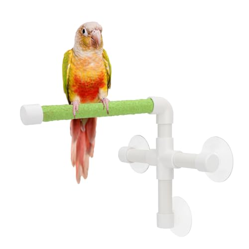 Hypeety Portable Suction Cup Bird Window and Shower Perch Toy Parrot Stand | 3 strong suction cups, parrot bath perch with quartz sand surface, fits windows/tile, for parakeets/budgies/cockatiels, green