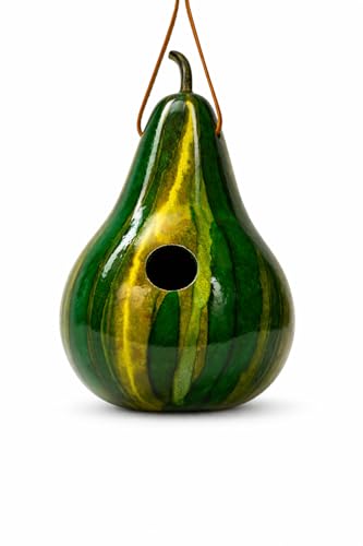 Green Striped Gourd Birdhouse, Hand Dyed Emerald Ink, 9–11 Inch Natural Gourd, 1.5" Entrance Hole for Wrens & Chickadees, Hanging Outdoor Bird House, Handmade Garden Decor