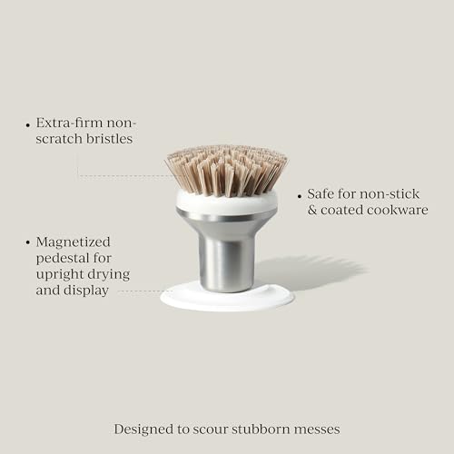 Ionic Palm Brush, Magnetized to Stand Upright, Stainless Steel with Replaceable Head, Silver