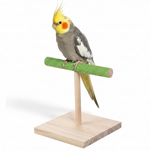 Bird Training Stand, Rough Surfaced Quartz Bird Perches | for Paw Grinding Clean Stick Exercise, Portable Tabletop Surfaced Parrot Parakeet Perches for Conure Macaws