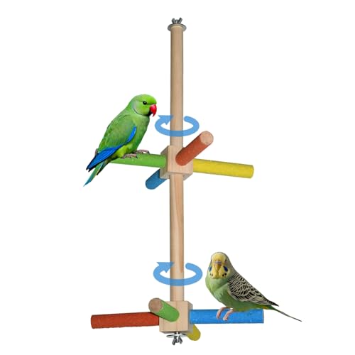 Double Layer Bird Play Gym with 360° Rotating Perch & Exercise Wheel - Interactive Training Stand for Small & Medium Parrots, Parakeets, Cockatiels, Lovebirds
