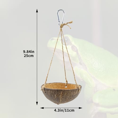 Natural Coconut Shell Frog Swing Toy, Reptile Hammock Bed with Hanging Rope & Metal Buckle, Terrarium Habitat Decor Accessories for Lizard Gecko Bearded Dragon Hamster Birds Hermit Crab Bearded Dragon