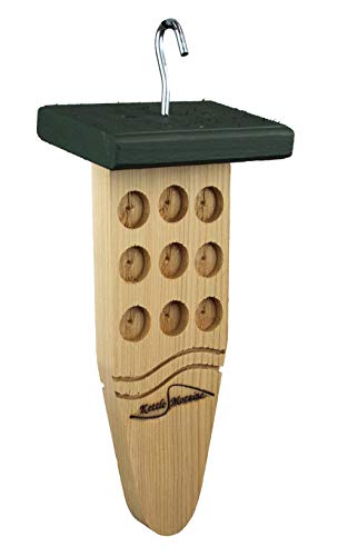 Peanut Butter Bird Feeder (Green) - color: Green