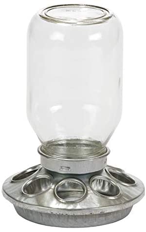 Glass Jar Chick Feeder - Little Giant - Mason Jar Baby Chick Feeder, 1 Quart (Item No. MJ9810)