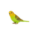 MOJO – Budgerigar (Australian Parakeet) Green | Hand-Painted Toy Figure | Farmland Pet Bird Collection | True to Life & Highly Detailed | Designed in UK