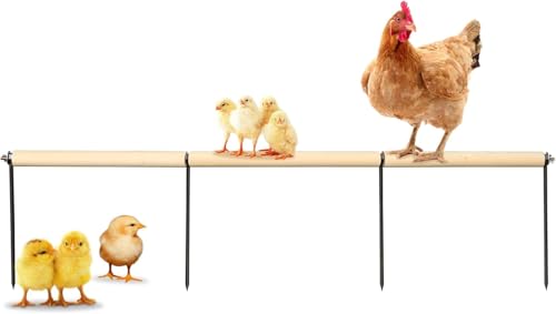Extra Long Chicken Perch Toys, Wooden Chick Perch Stand with Metal Ground Plug, Outdoor Birds Training Platform, Chicken Coop Accessories, Suitable for Poultry Rooster Chicks Large Bird Chicks Parrot - size: 44.9 Inch Long