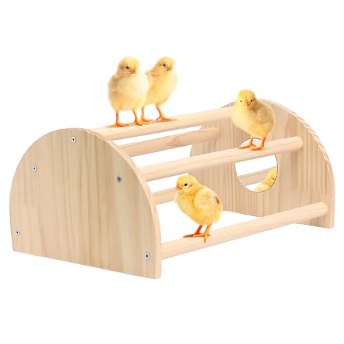 Pine Chicks Perch with Mirror, Strong Chick Jungle Gym Roosting Bar, Chicken Perch Toys for Coop and Brooder, Training Perch Toys for Large Bird, Parrot, Macaw, Hens (Large) - size: Large