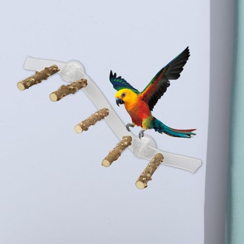 Suction Cup Wood Bird Perch for Windows and Showers, 3.94 x 14.96 in Parrot Stand for Small and Medium Birds