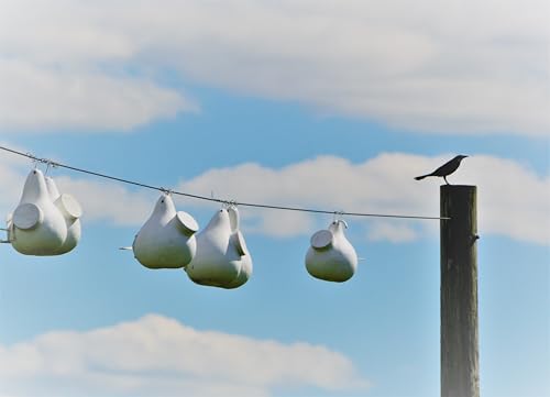 White Purple Martin Gourd Birdhouses – Pack of 10 Colony Nesting Gourds with Side Clean-Out – 12–14″ Tall, 2″ Entrance Hole