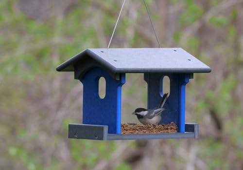 Bluebird Feeder - Poly Lumber - Hanging Blue Bird Feeder for Mealworms (Gray and Blue) - color: Gray and Blue