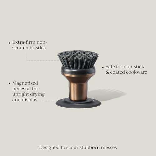 Ionic Palm Brush, Magnetized to Stand Upright, Stainless Steel with Replaceable Head, Bronze