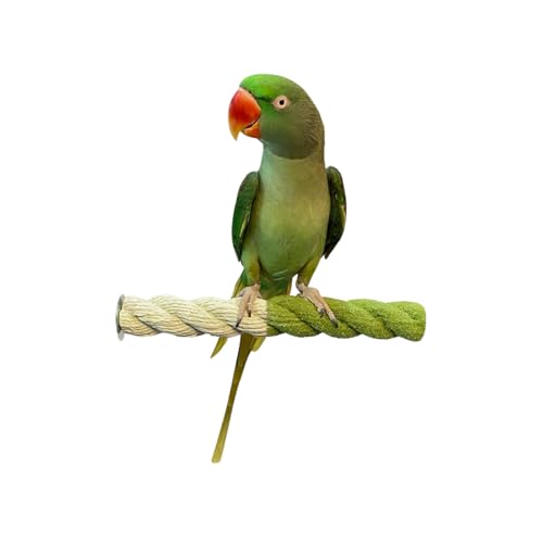 Polly's Sand-E-Rope Safety Bird Perch Toy-Trims Nails & Beak-Promotes Healthy Feet-Safe Non-Toxic-Bird Supplies for Bird Cages (Green, Medium) - color: Green, size: Medium