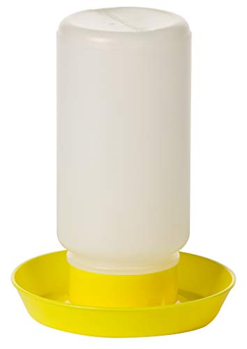 Little Giant® Screw-On Poultry Waterer Base | Heavy Duty Plastic Water Tray for Container | Chicken Waterer Screw on Base | 1 Quart (Yellow, Pack of 1) - size: 6 IN