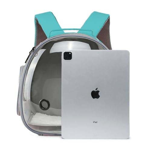 Small Animal Carrier Guinea Pig Backpack,Transparent, Breathable Backpack Carrier for Hedgehogs, Rabbits, Birds, Squirrels, Hamsters, Lizards Comfortable, Portable Travel Bag for Small Pets (Green) - color: Green