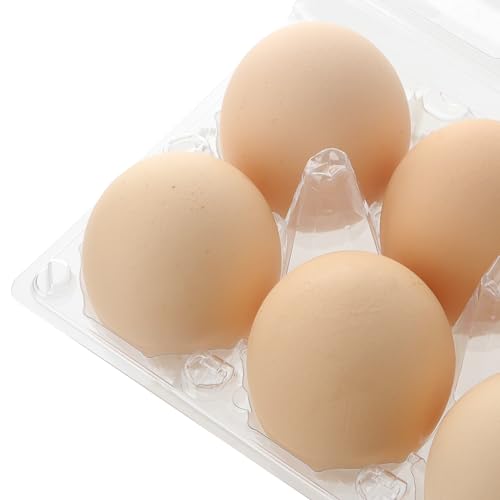 100 PCS 6 Grids Plastic Egg Cartons, Clear, 14.8 x 10.2 x 6.2 cm, Egg Storage, Transportation